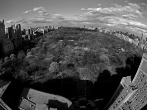 Central.Park-2012