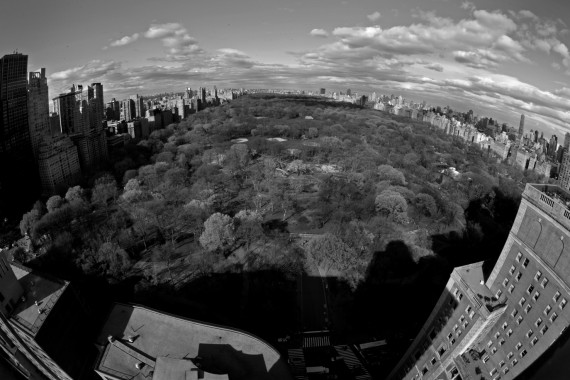 Central Park 3. 2012