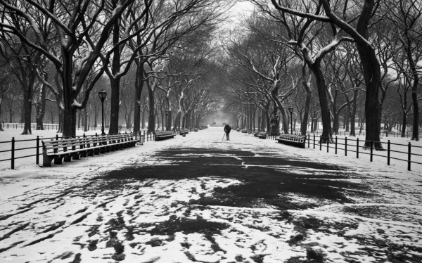 Central Park 2. 1991