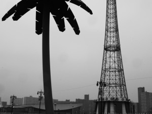 Coney.Island-2014