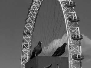 Londres.17-2009