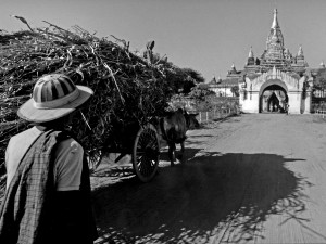 Birmania.19.1996