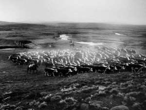 Arreo Tierra del fuego 1995