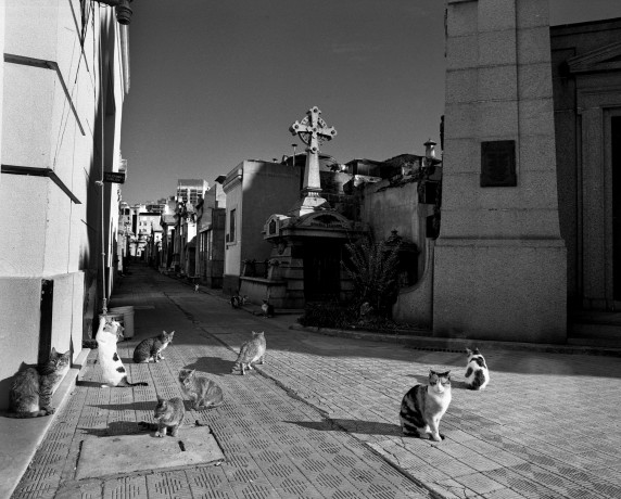 Cementerio Recoleta . 1999