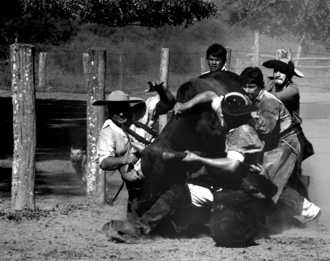 Gauchos. Formosa. 1996