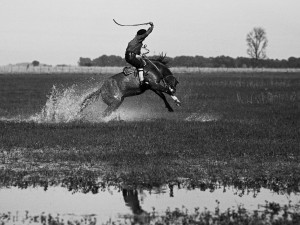 gaucho.2002-web