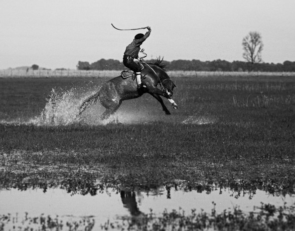 Gaucho. Pcia de Buenos Aires.2002