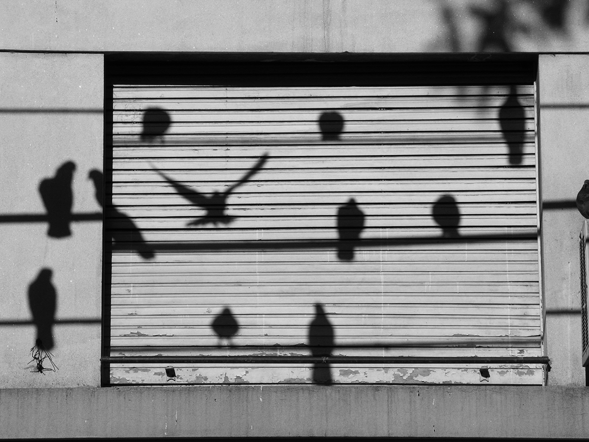 Pic